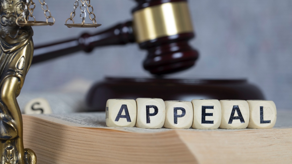 Appeal blocks in a legal setting